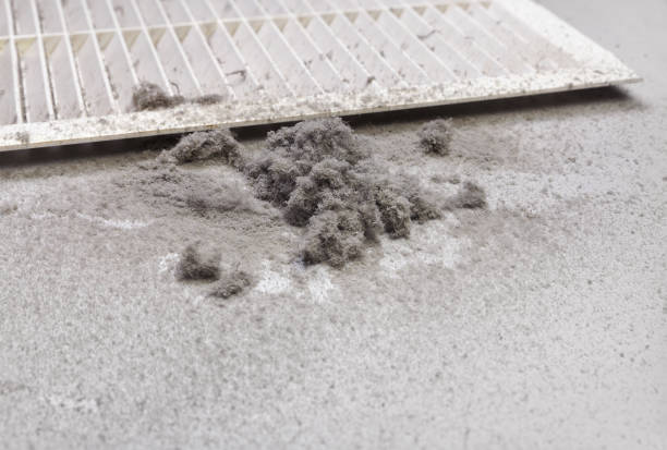 Best Affordable Air Duct Cleaning  in Lla Lla, WA