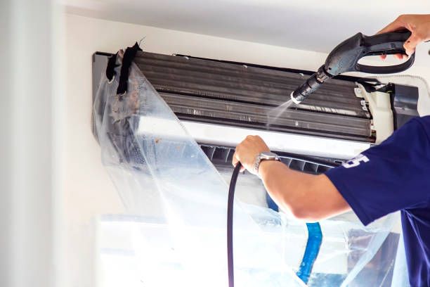 Best Air Duct Mold Removal  in Lla Lla, WA